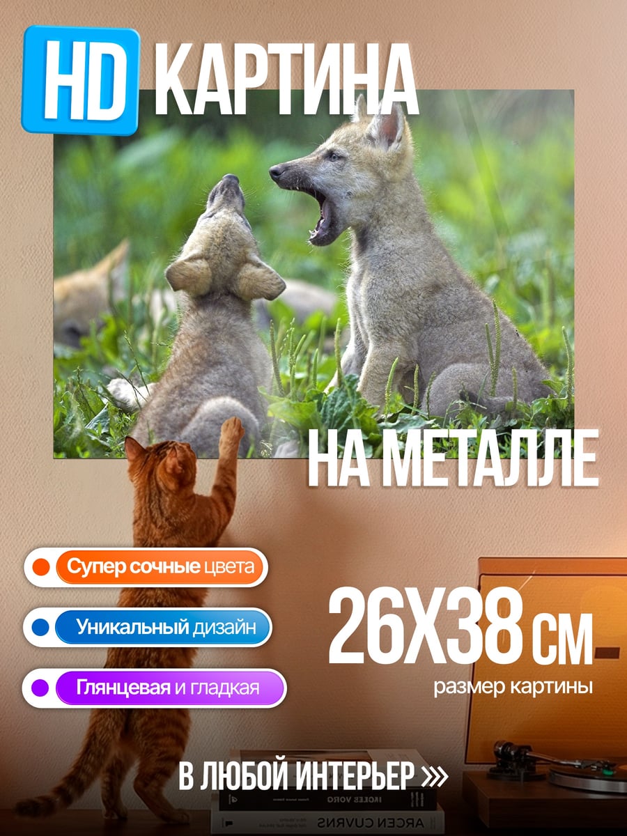 Картина на металле волчата играют