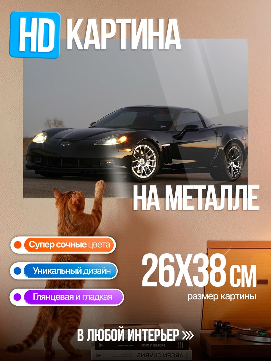 Картина на металле Черный спорткар