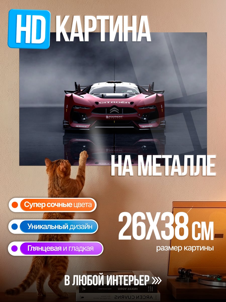 Картина на металле Гоночный автомобиль Citroen