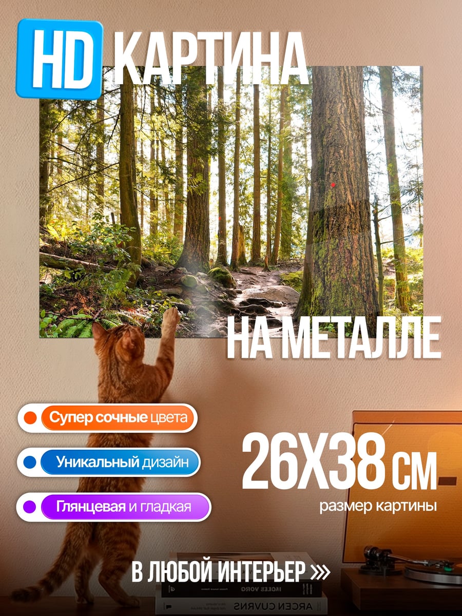 Картина на металле Лесная тропа