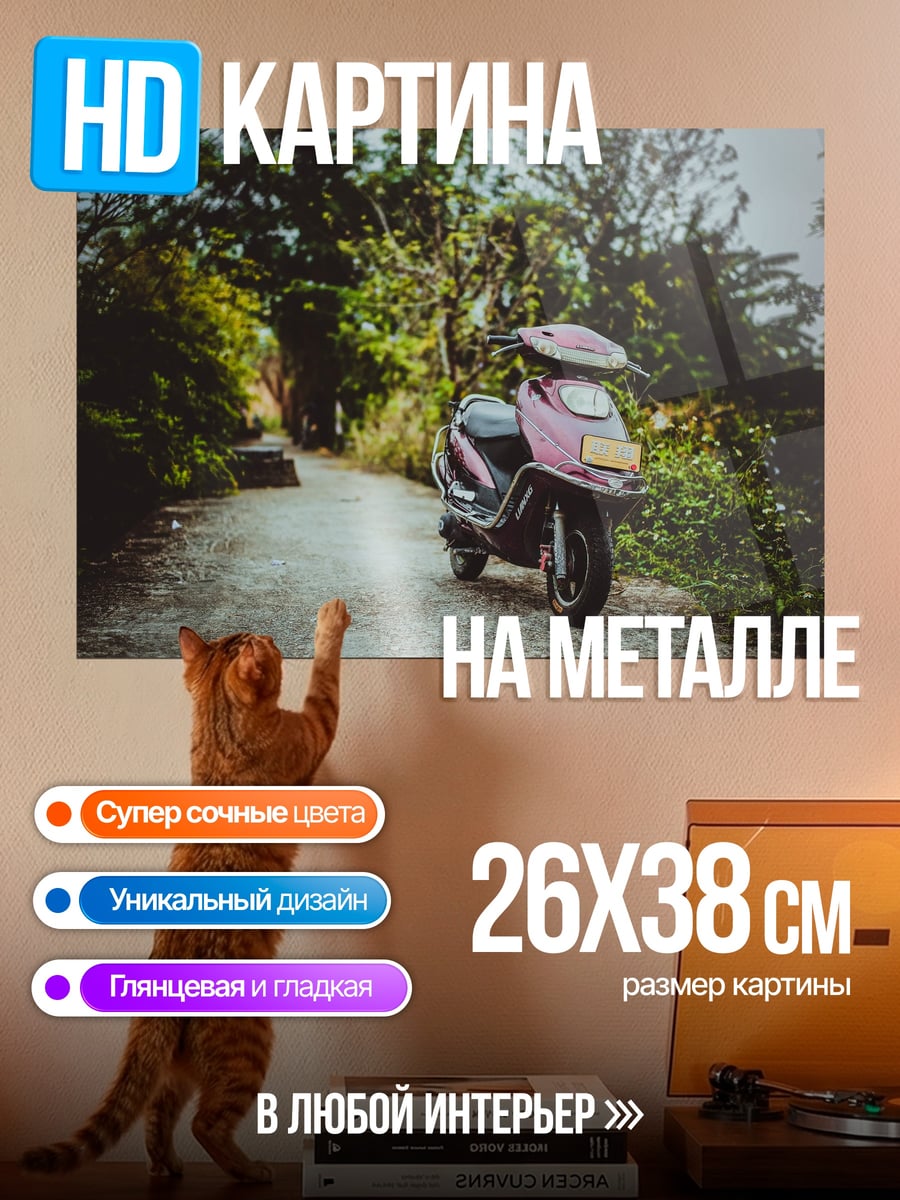 Картина на металле Розовый скутер