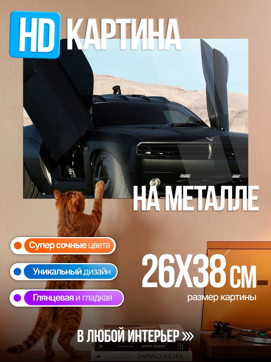 Картина на металле Черный маслкар двери вверх