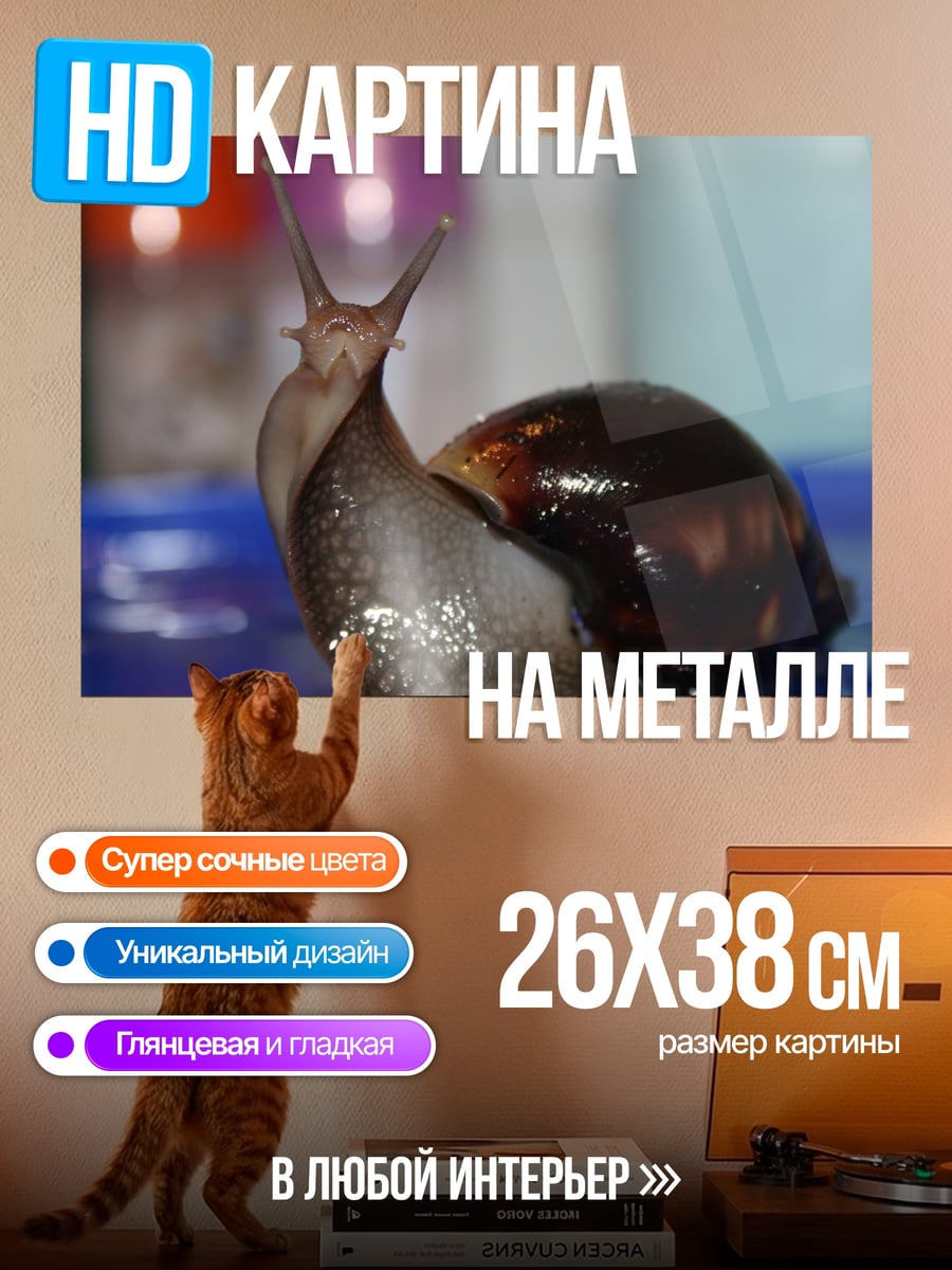 Картина на металле улитка на синем