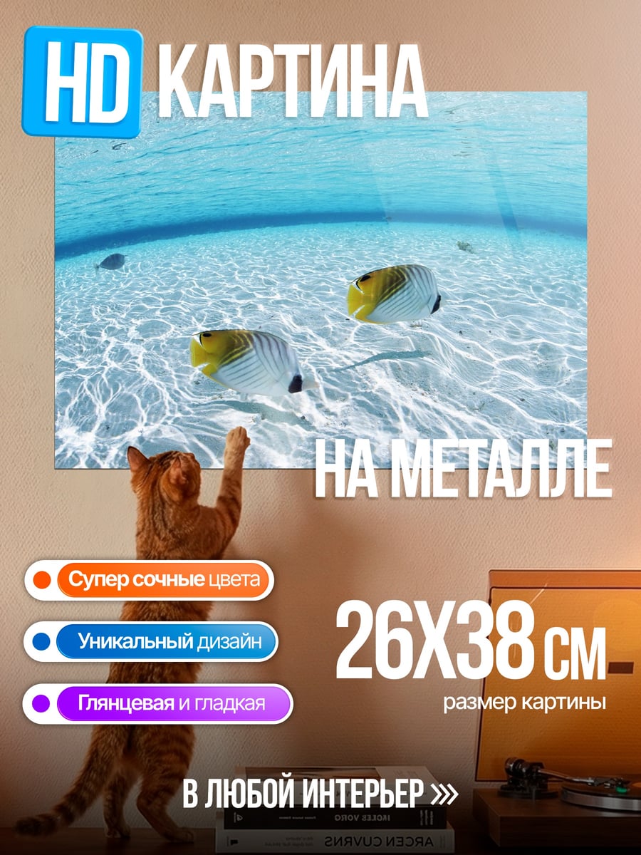 Картина на металле Рыбы бабочки в воде