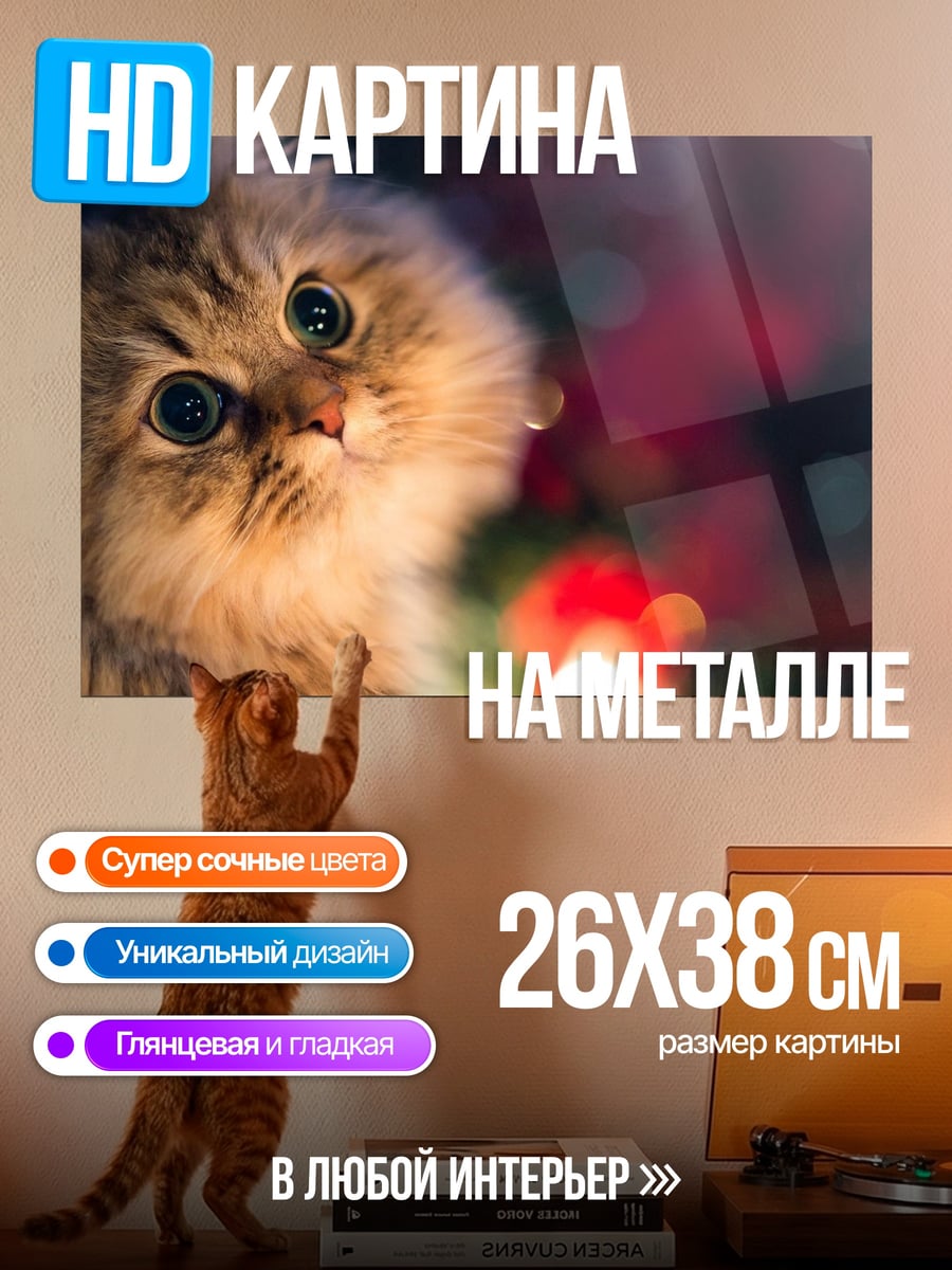 Картина на металле Пушистый котенок с глазами