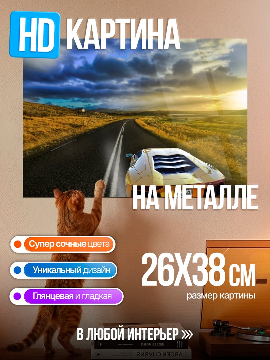 Картина на металле Спортивный автомобиль на дороге
