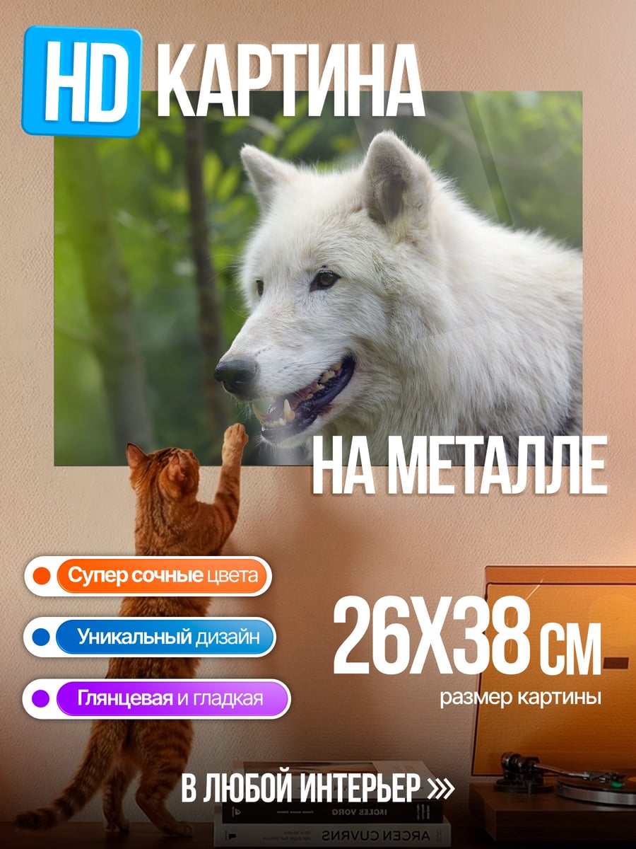 Картина на металле Белый волк