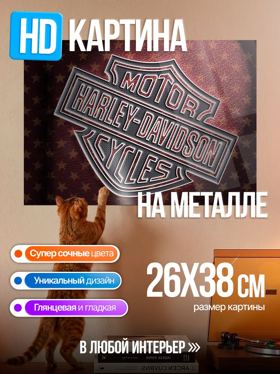 Картина на металле Логотип Harley Davidson