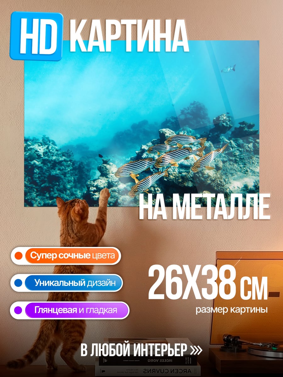 Картина на металле рыбы в коралловом рифе