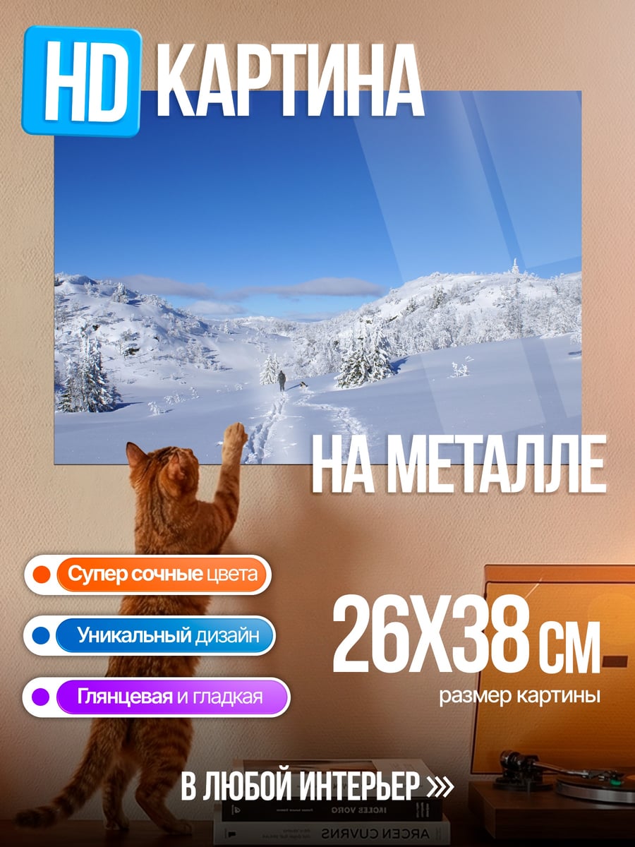 Картина на металле Зимний поход в горы