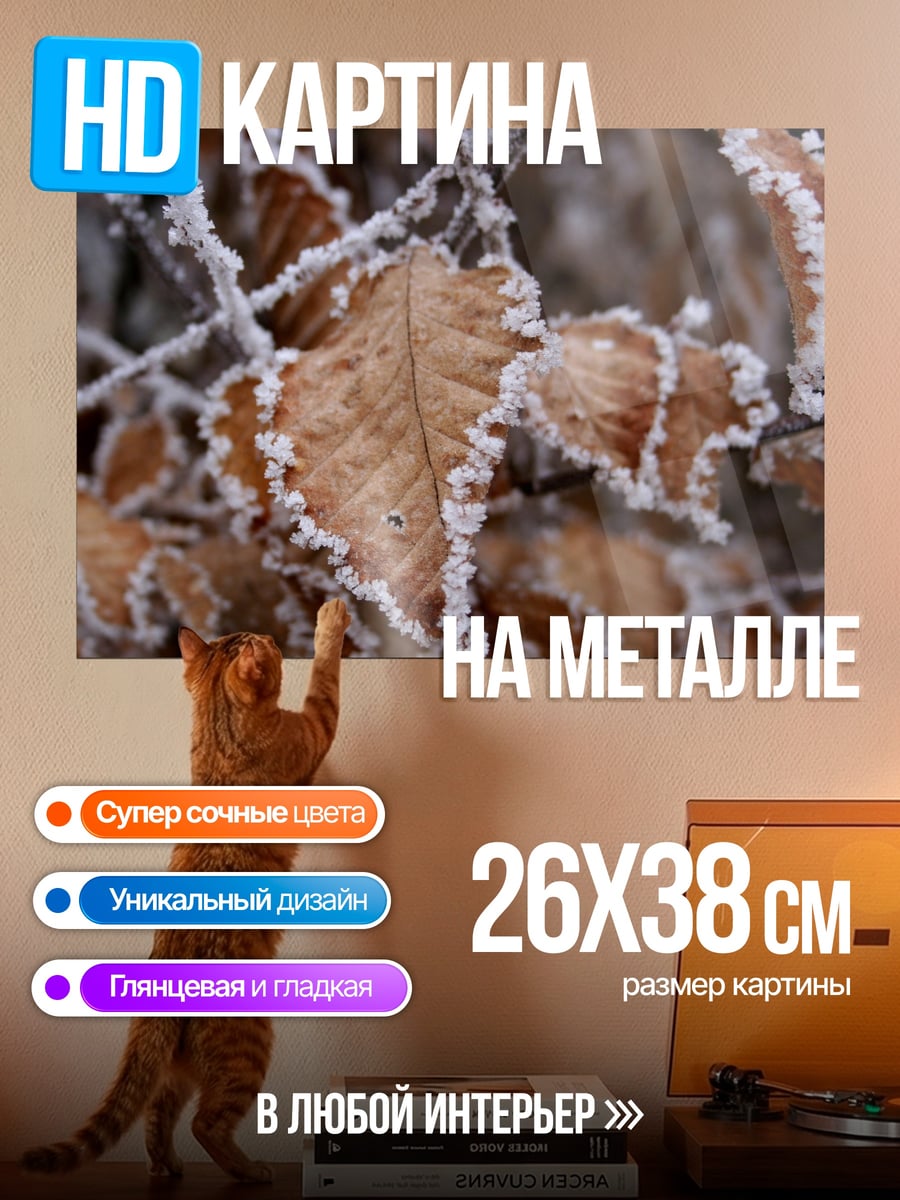 Картина на металле Морозные листья