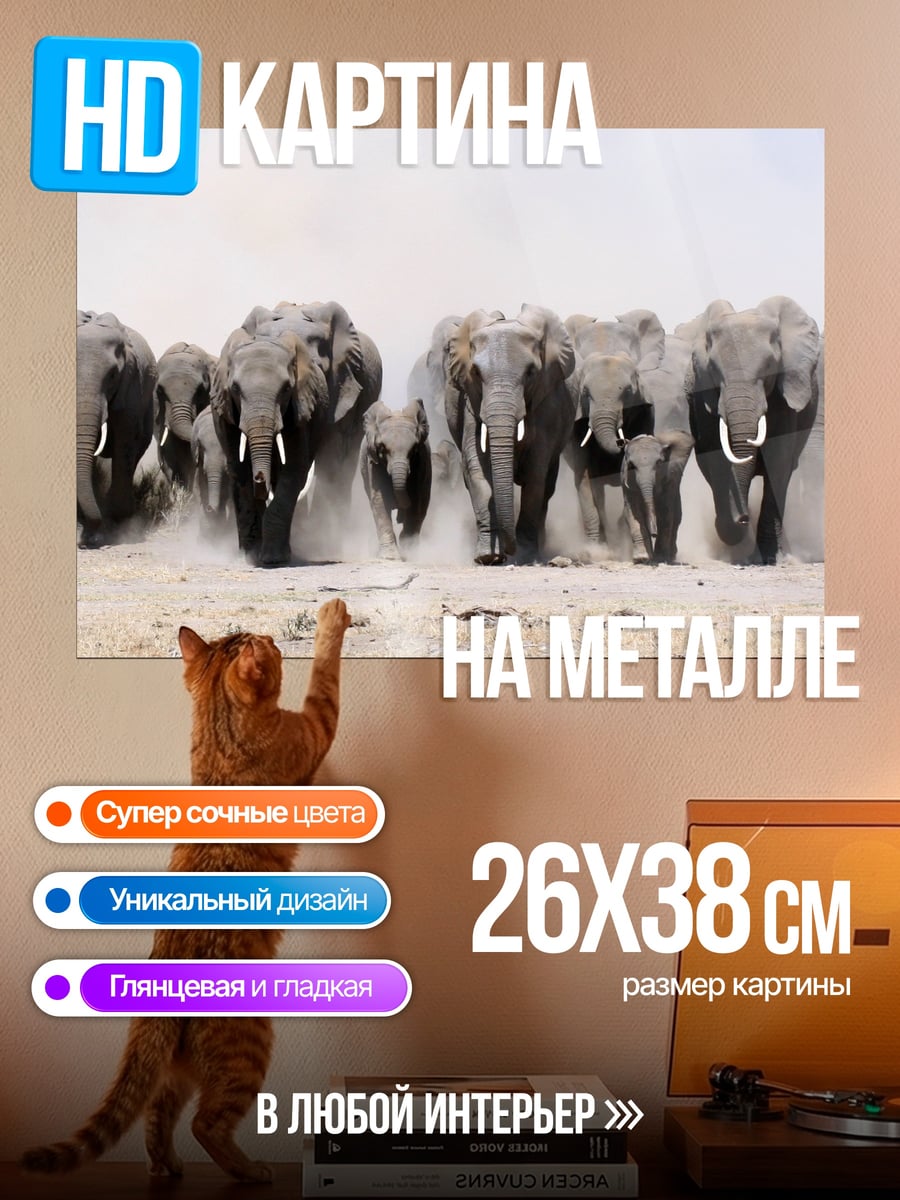 Картина на металле стадо слонов