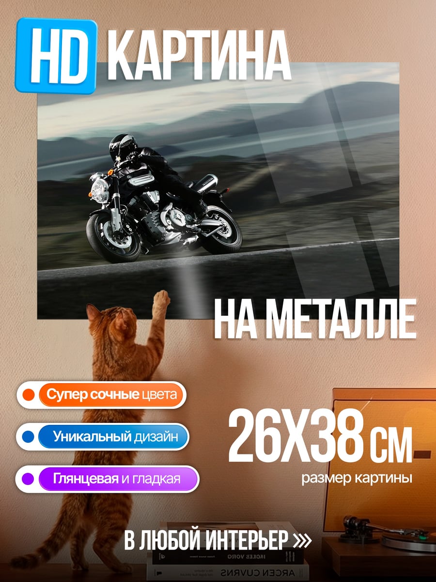 Картина на металле Мотоциклист в движении
