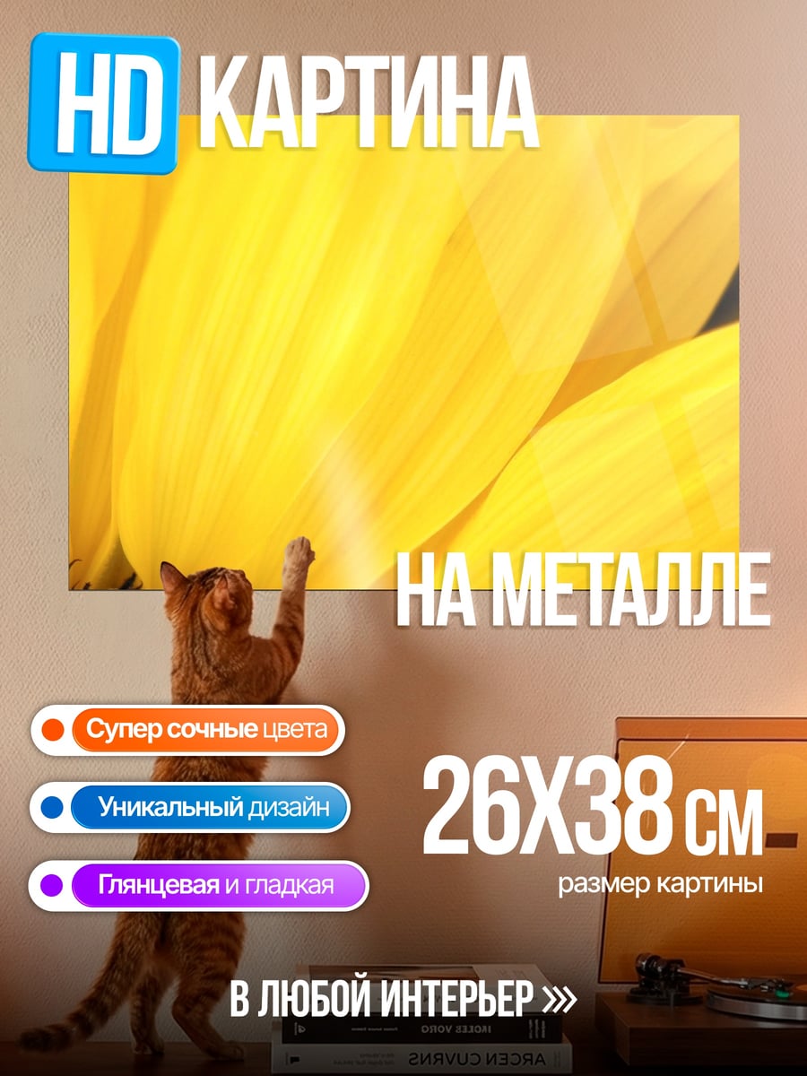 Картина на металле Крупный план подсолнуха