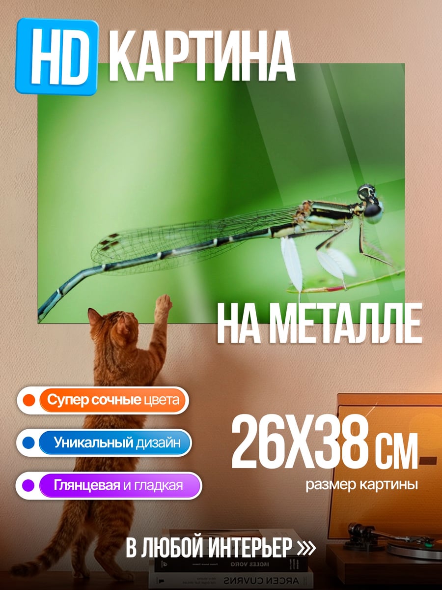 Картина на металле Стрекоза на листе