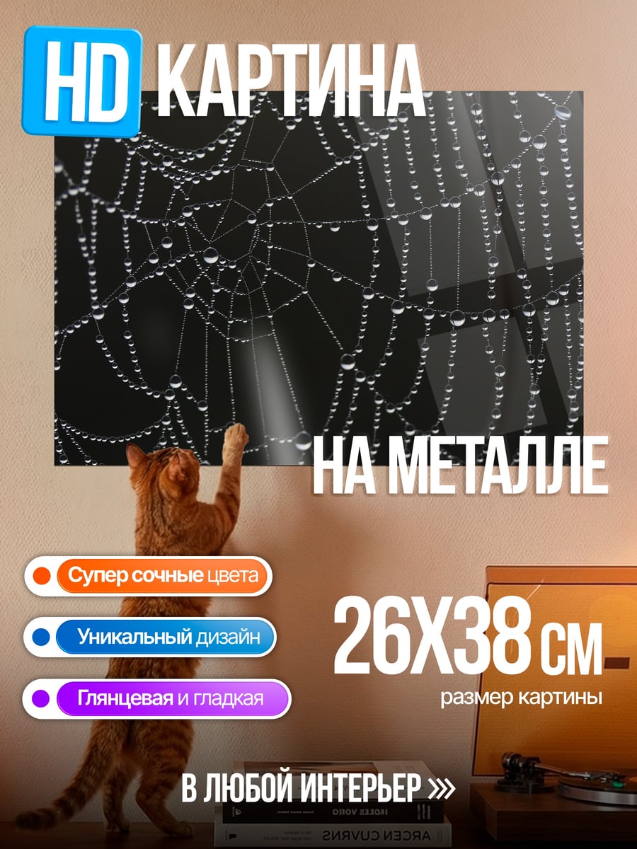 Картина на металле Паутина роса