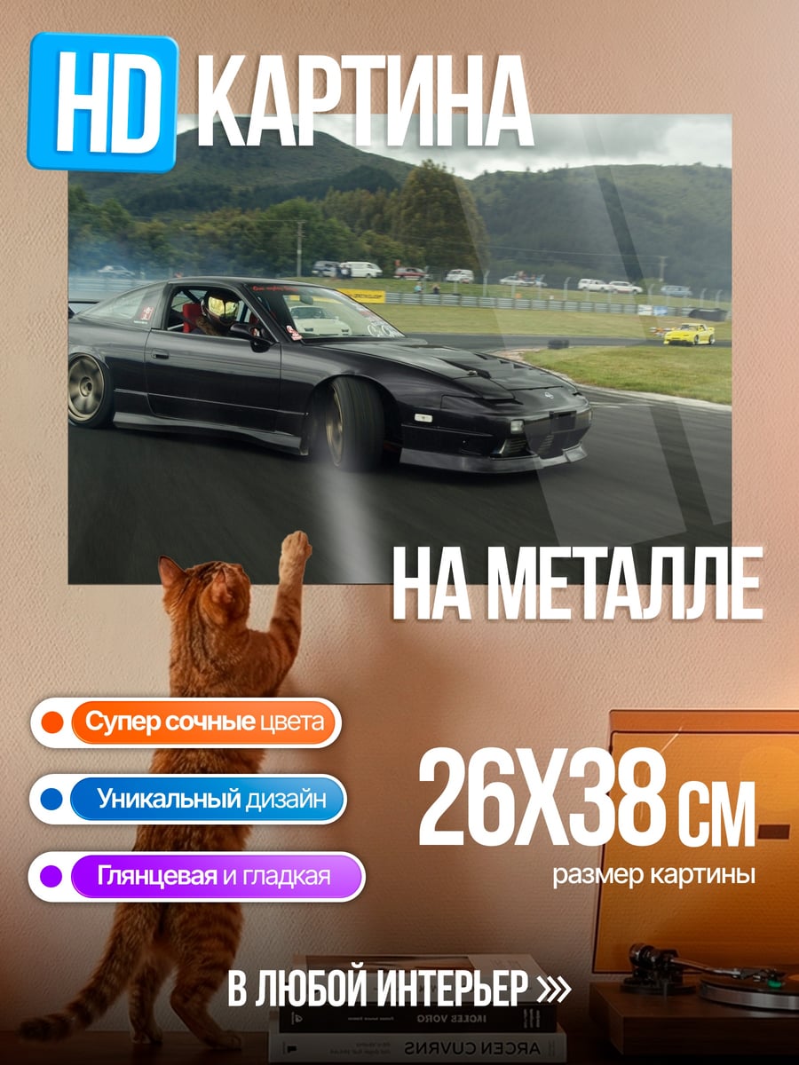 Картина на металле Дрифт на треке