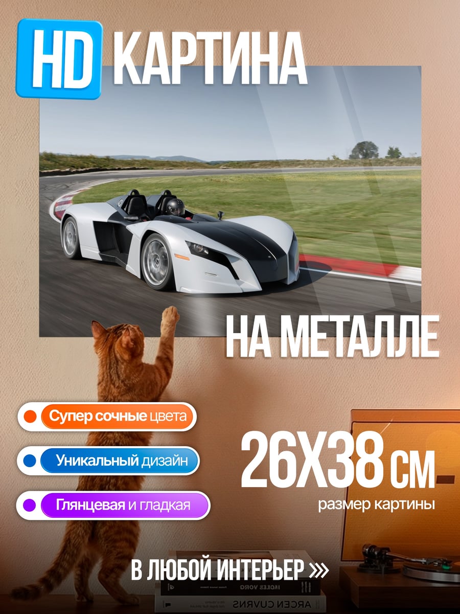 Картина на металле Спортивный автомобиль трек