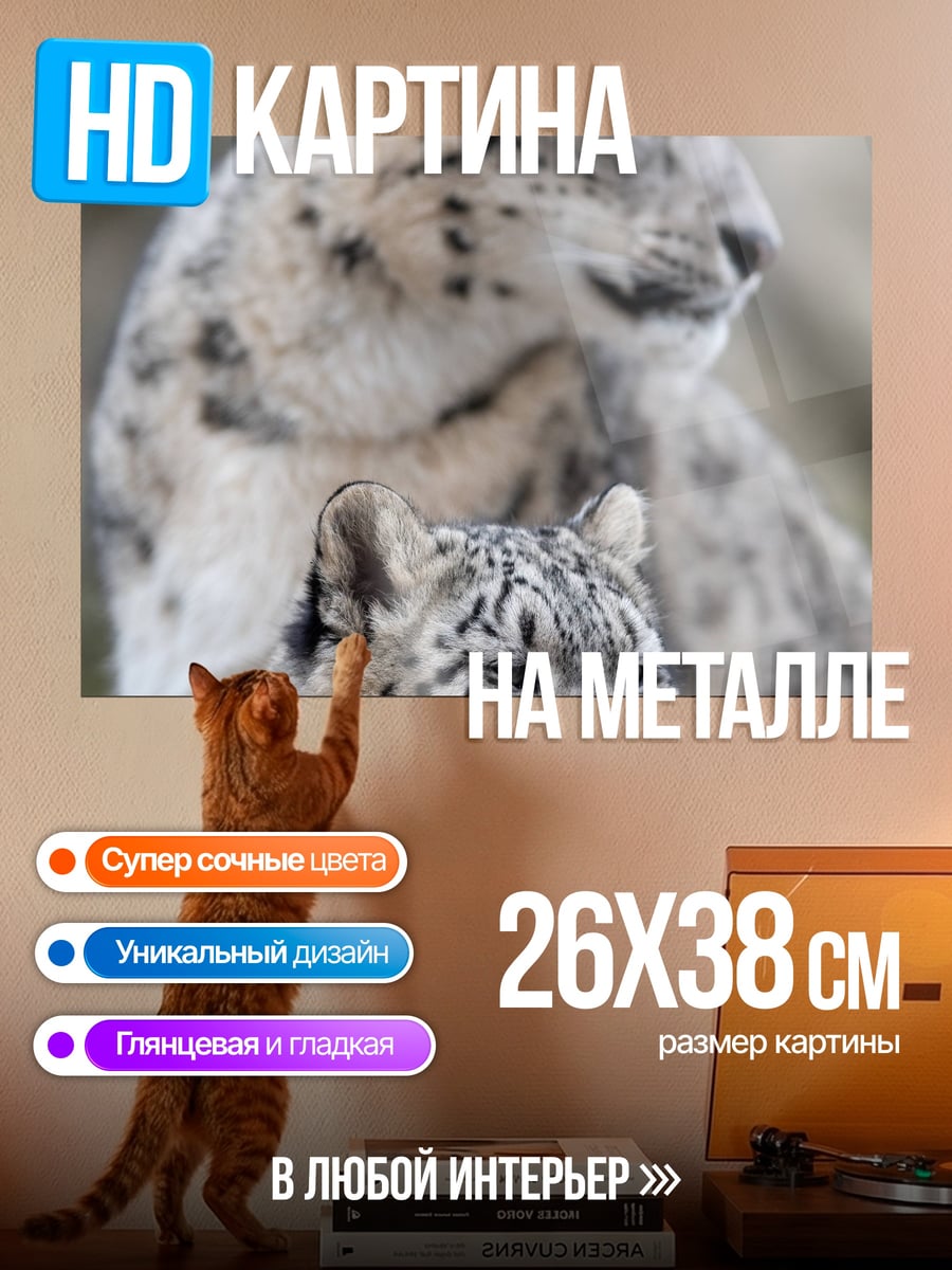 Картина на металле Снежные барсы