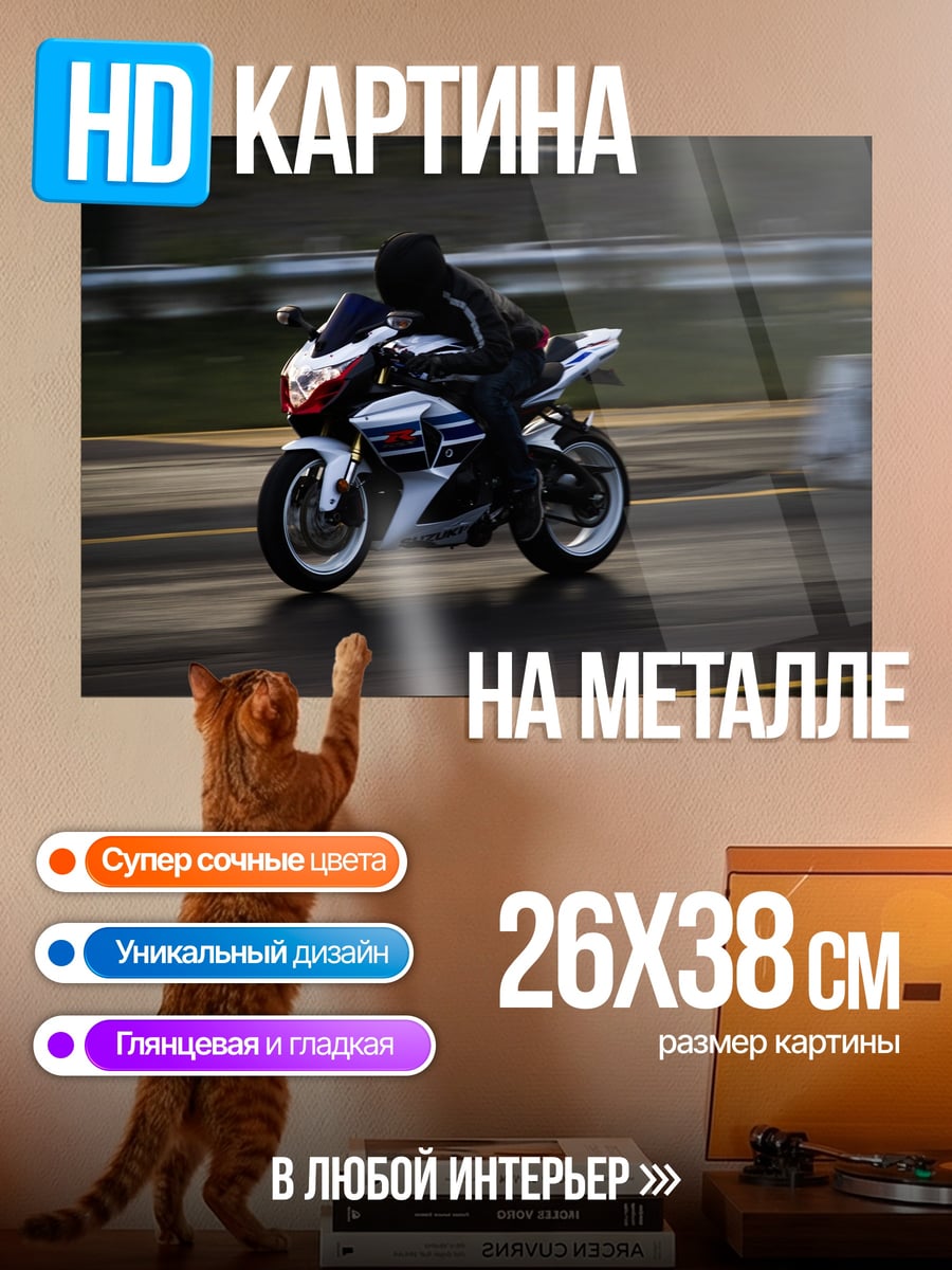 Картина на металле Мотоцикл на трассе