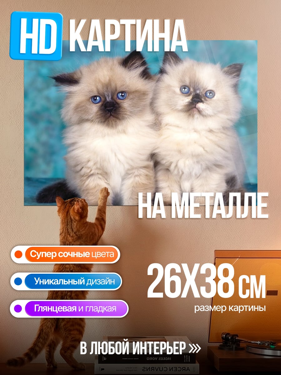 Картина на металле Два котенка