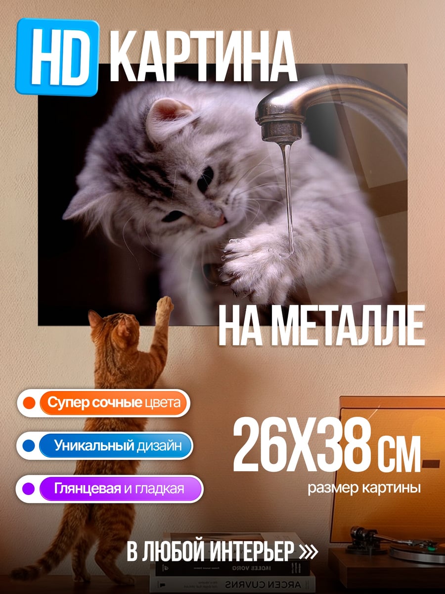 Картина на металле Кот пьет воду