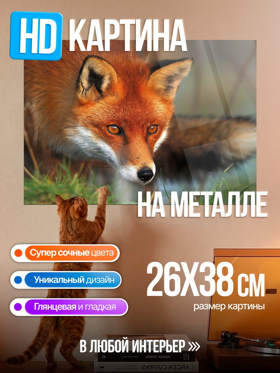 Картина на металле Рыжая лиса в траве