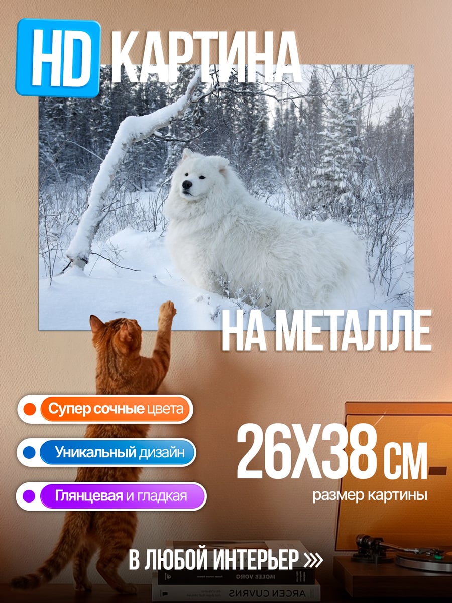 Картина на металле Белый самоед