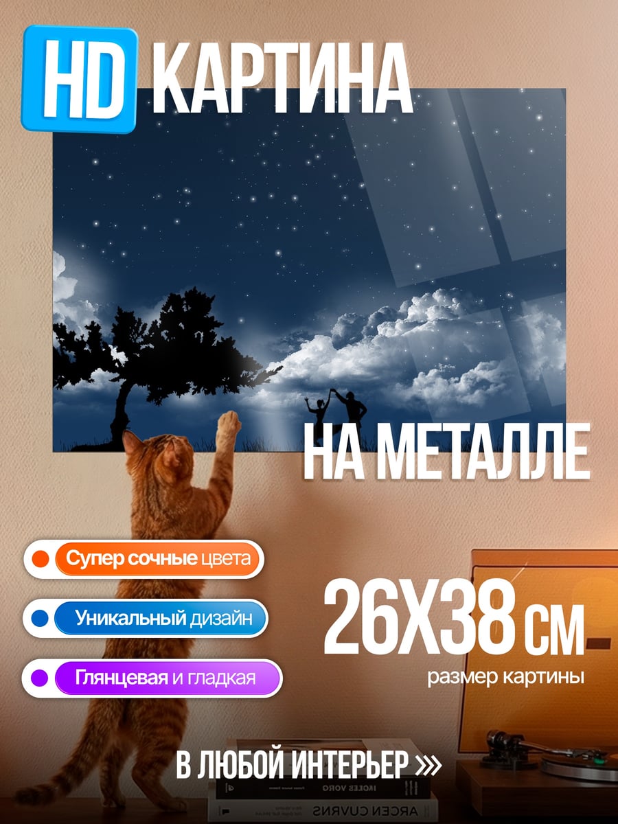 Картина на металле Пара под звездами