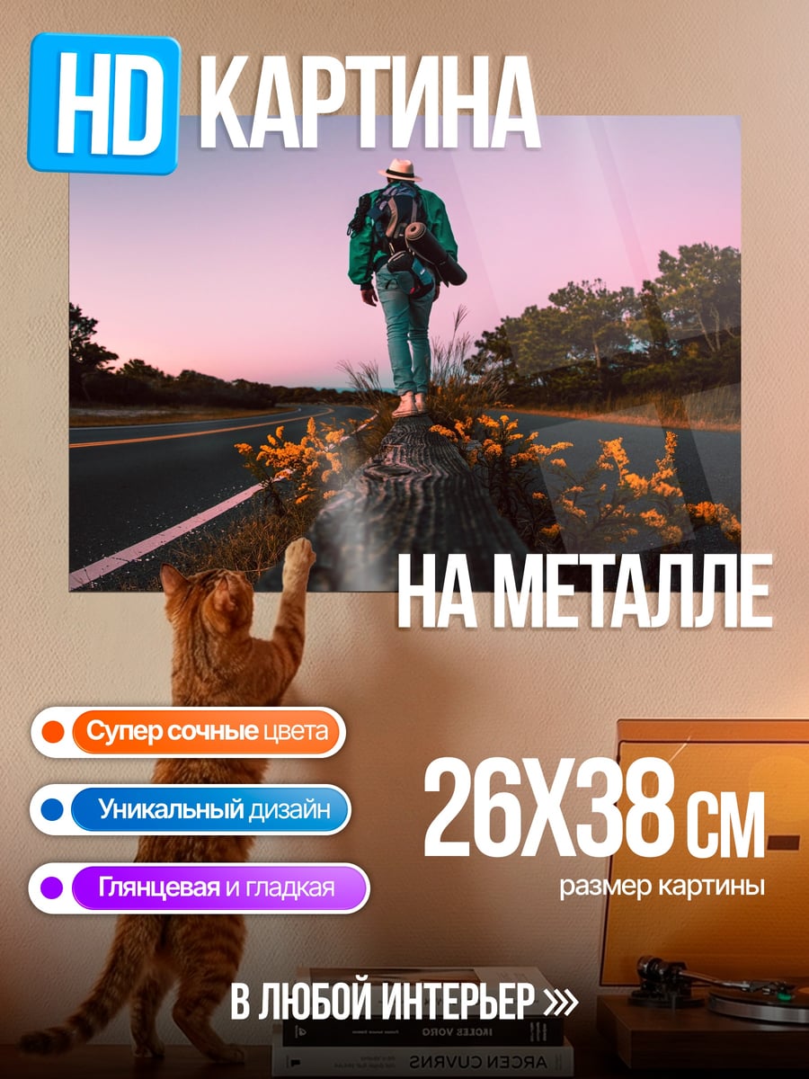 Картина на металле Путешествие на закате