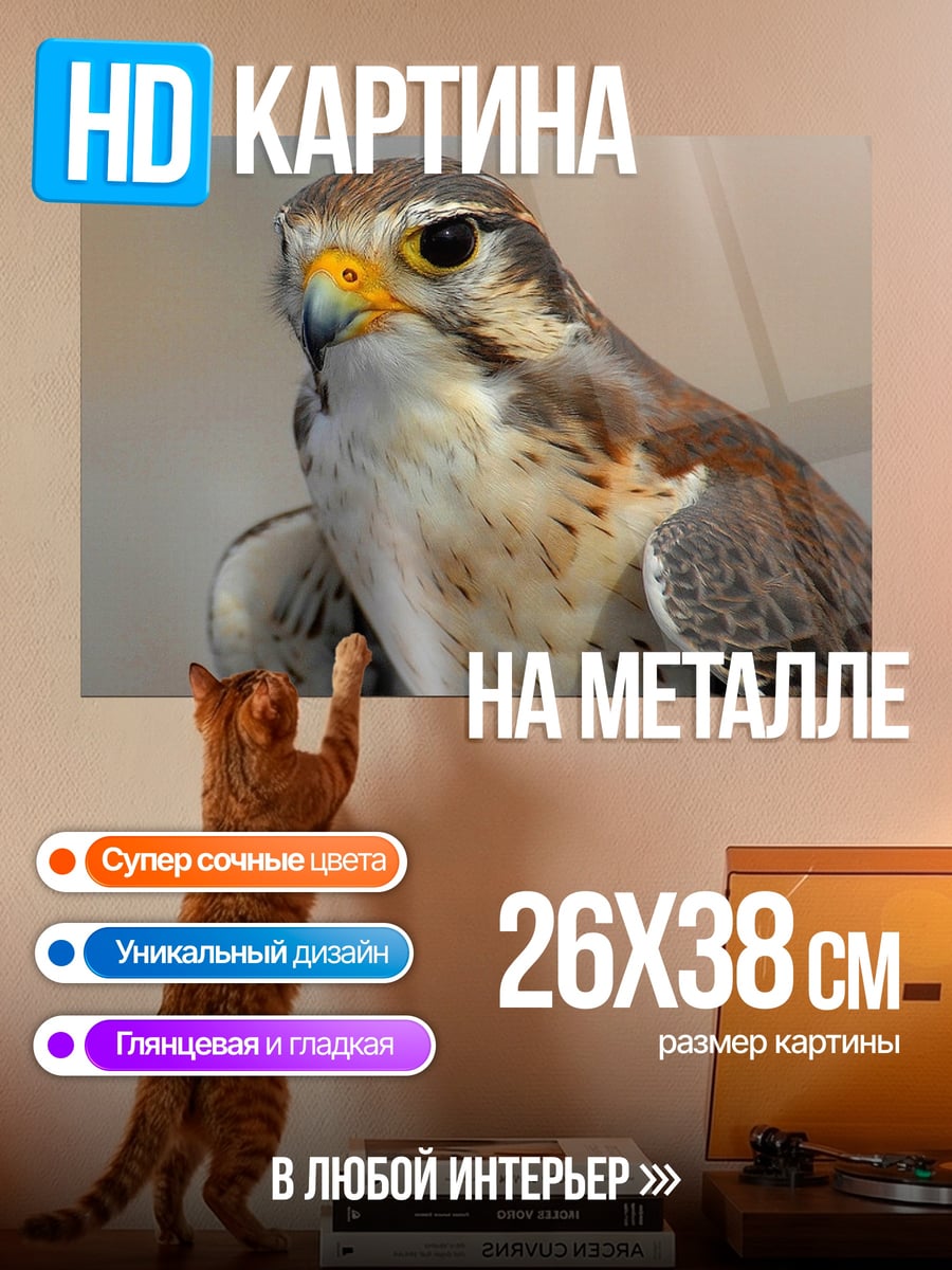 Картина на металле Сокол