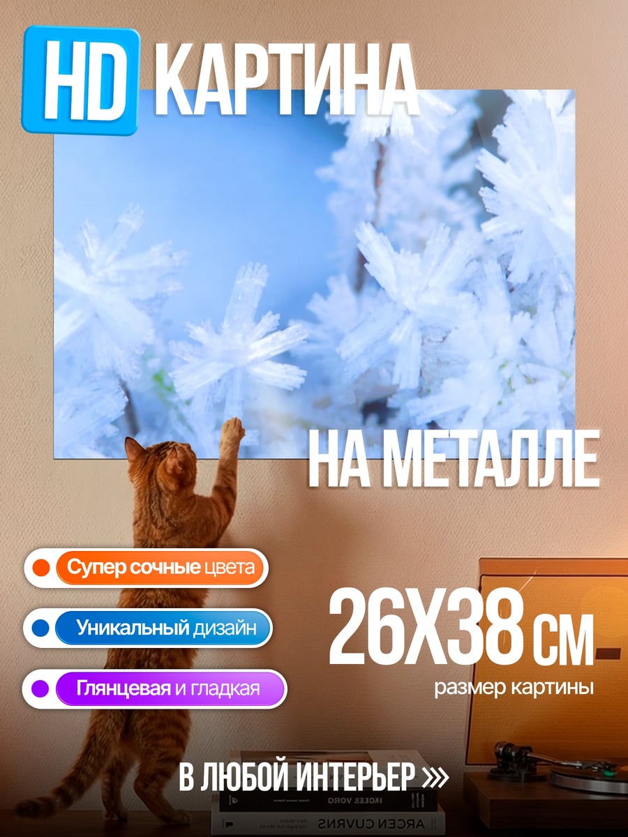 Картина на металле Ледяные узоры