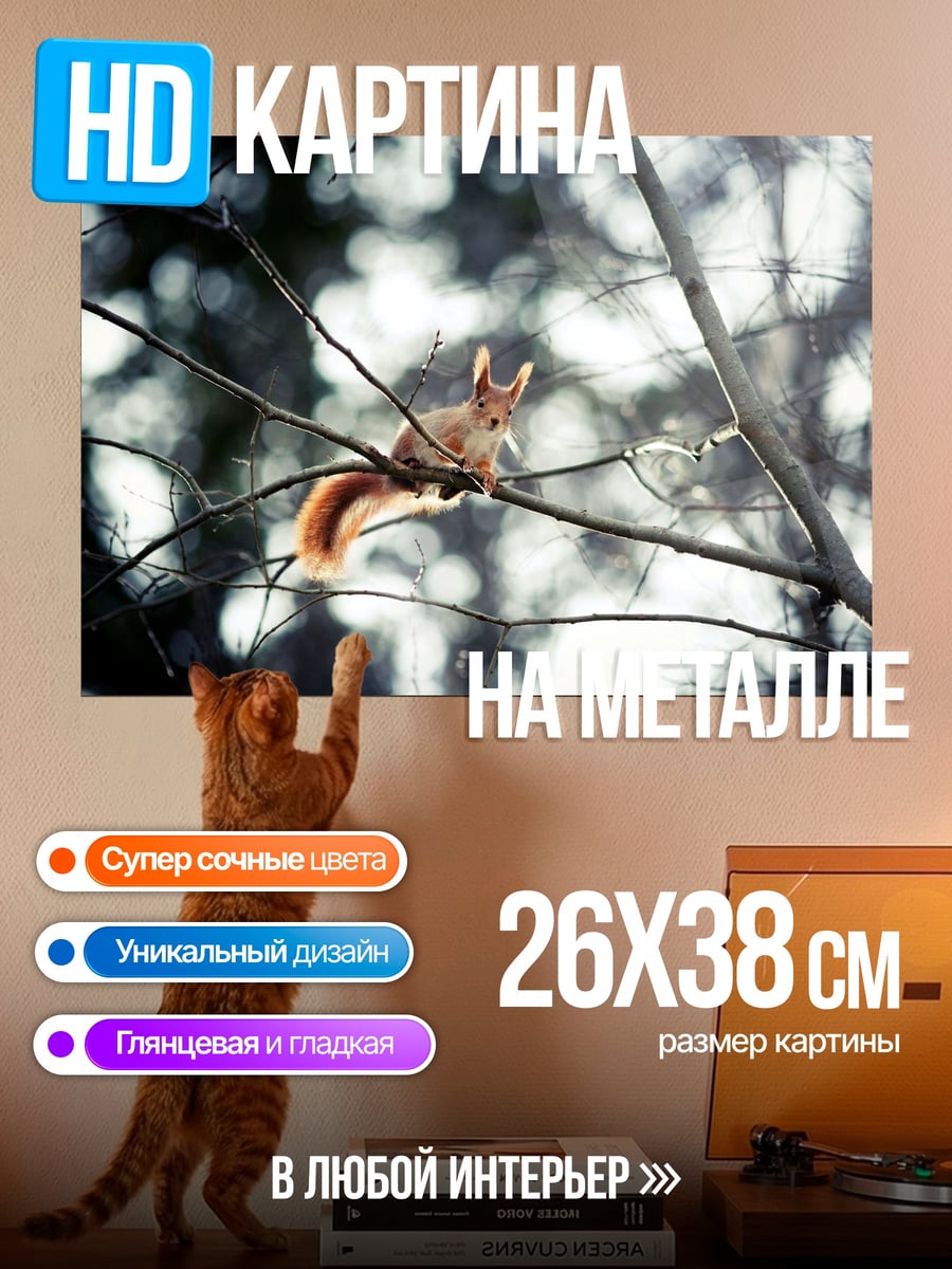 Картина на металле Белка на ветке