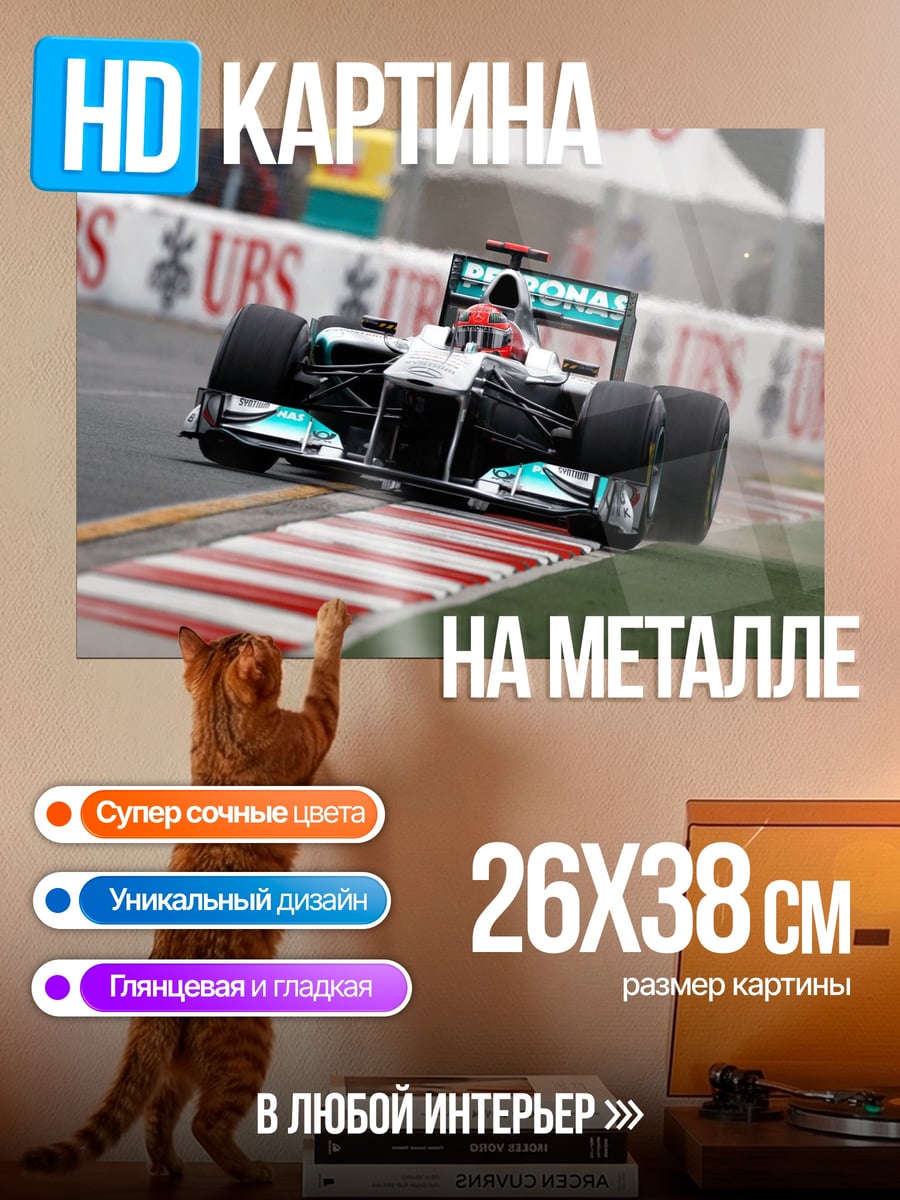 Картина на металле Гонка Формула 1