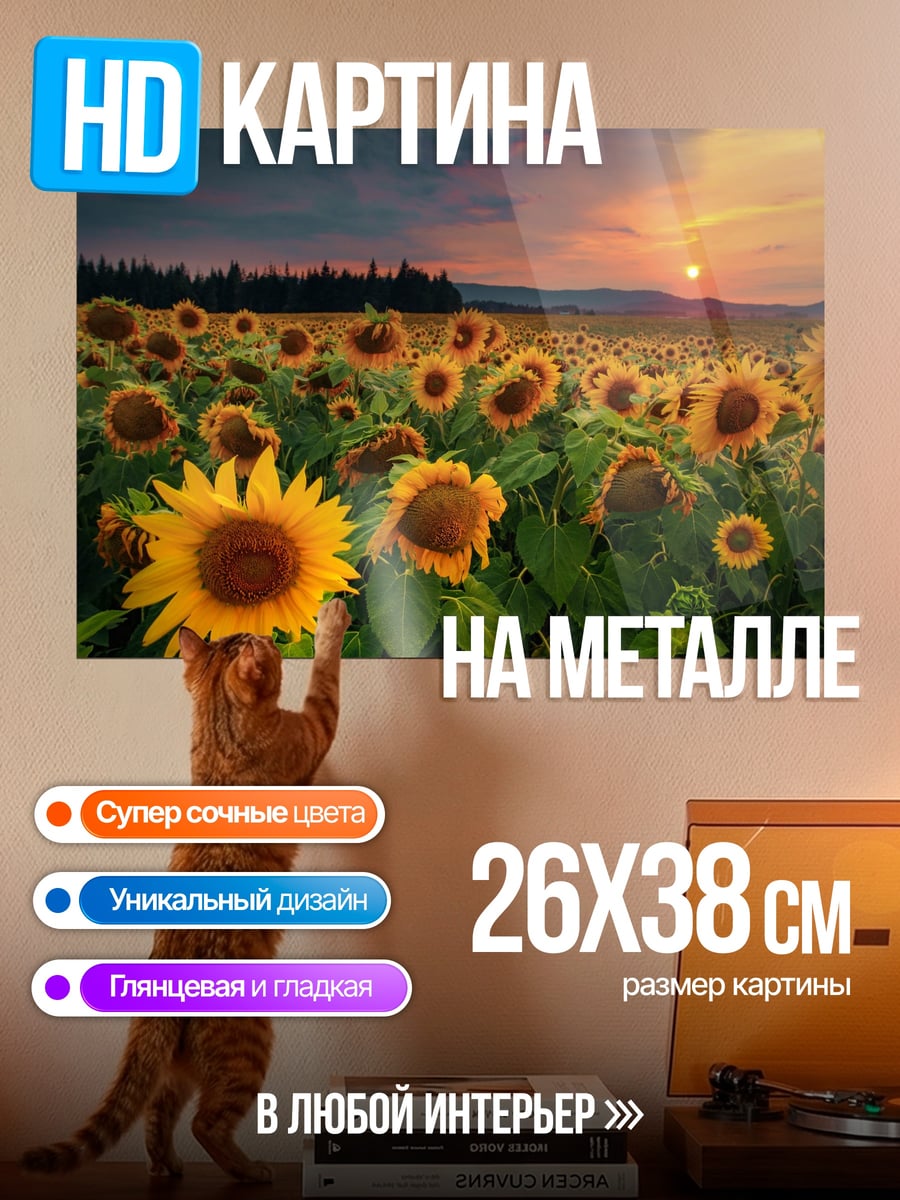 Картина на металле поле подсолнухов закат