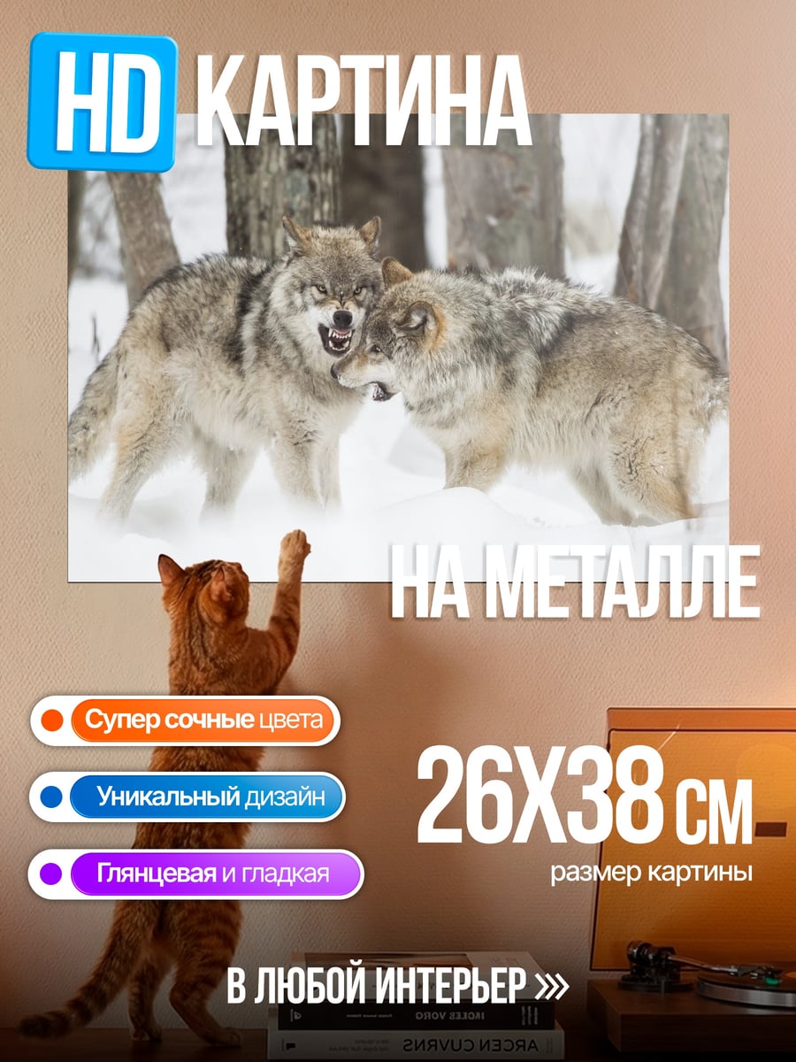Картина на металле два волка в снегу