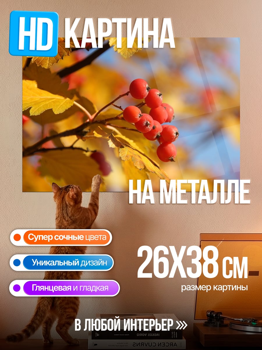 Картина на металле Ягоды рябины осенью