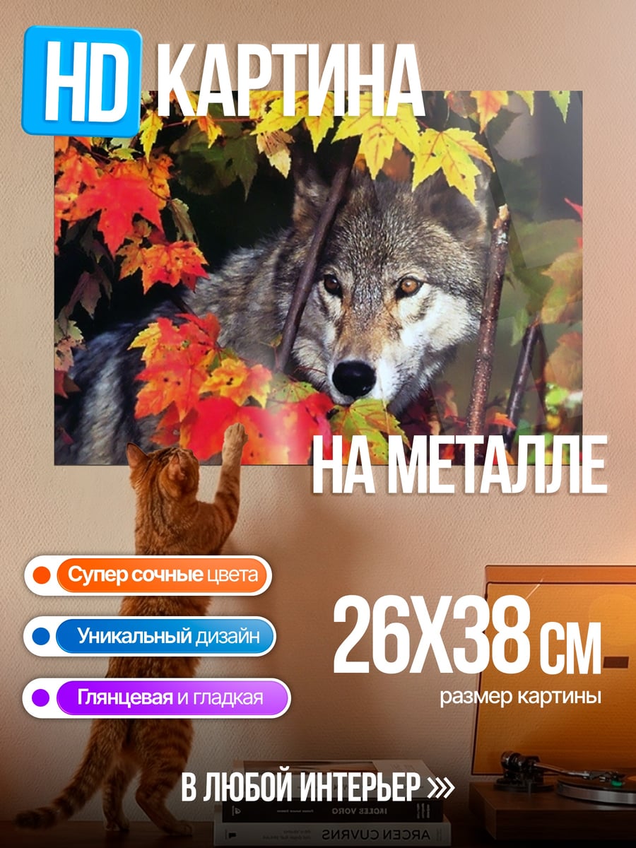 Картина на металле Волк в осеннем лесу