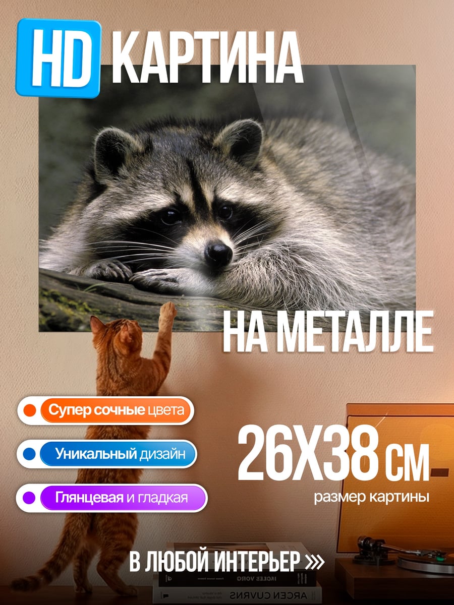 Картина на металле Енот на ветке