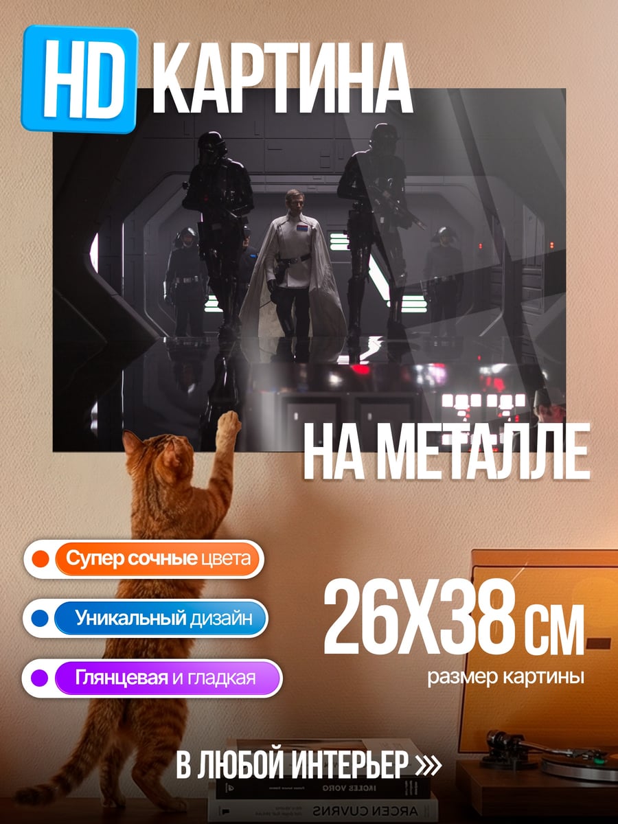 Картина на металле имперский офицер