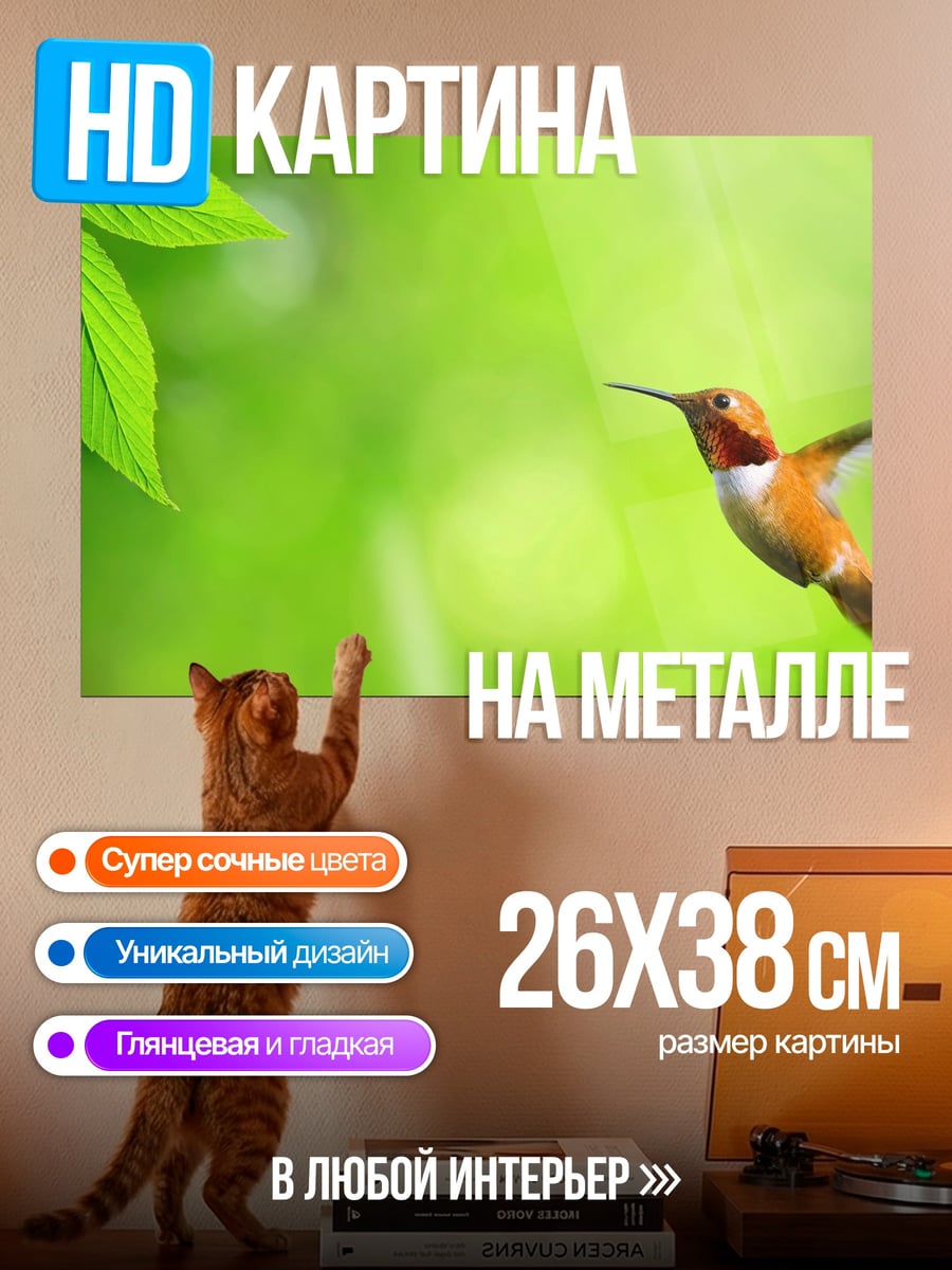 Картина на металле Колибри в полете