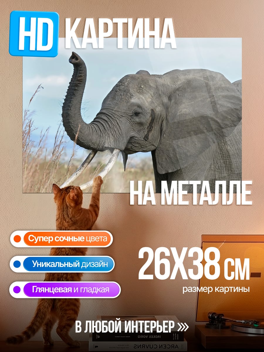 Картина на металле Африканский слон трубит