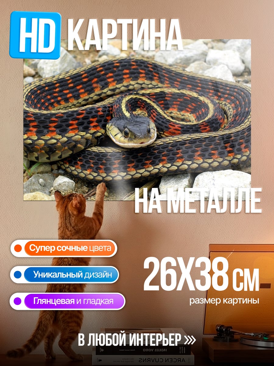 Картина на металле Змея свернулась кольцом