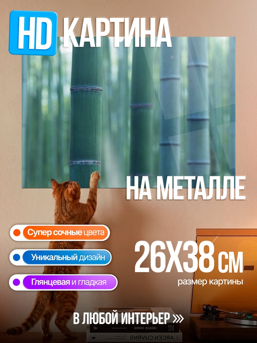 Картина на металле Бамбуковый лес утро