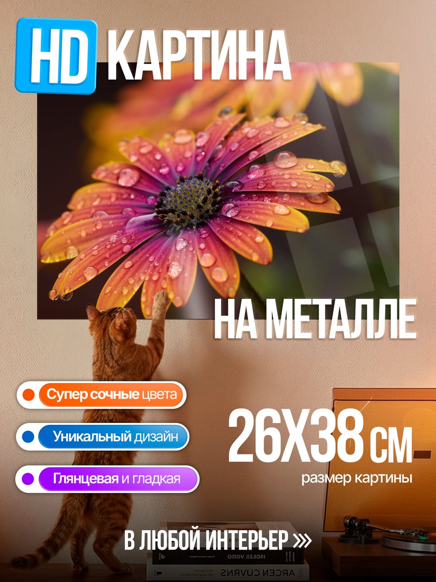 Картина на металле Цветок с каплями