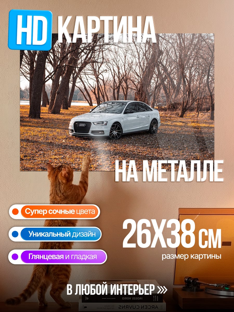 Картина на металле Белый седан в лесу