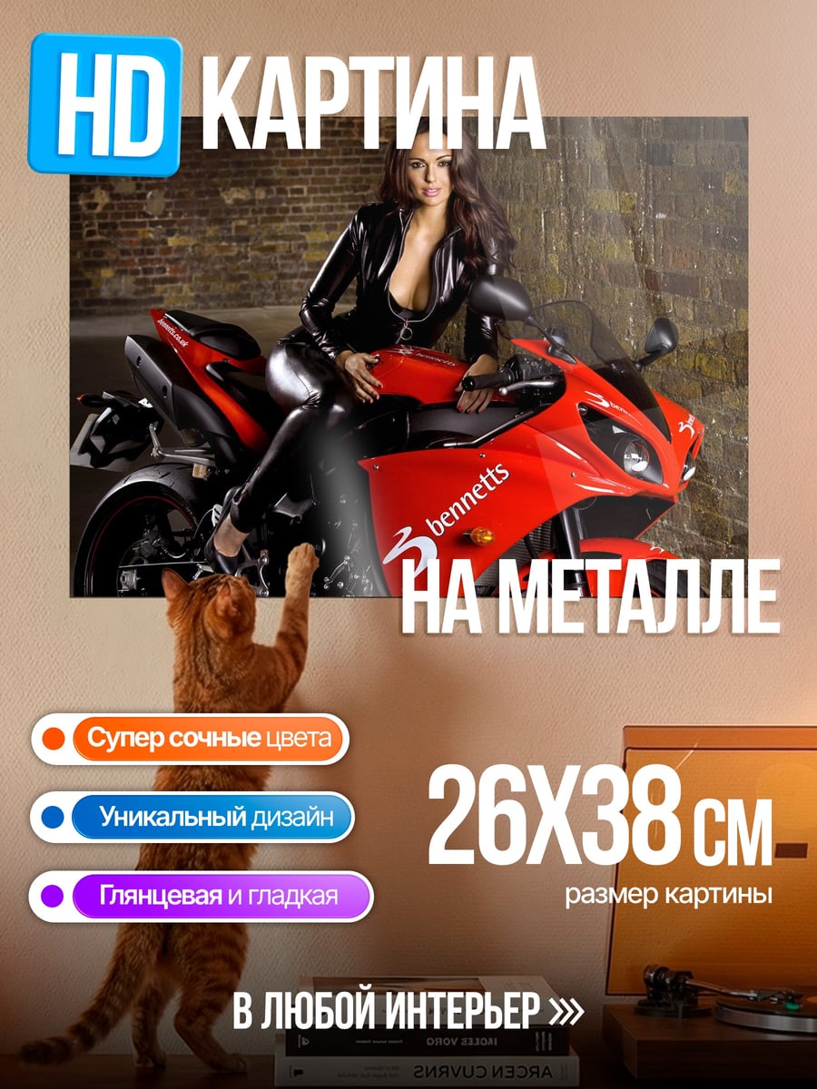 Картина на металле Девушка на мотоцикле