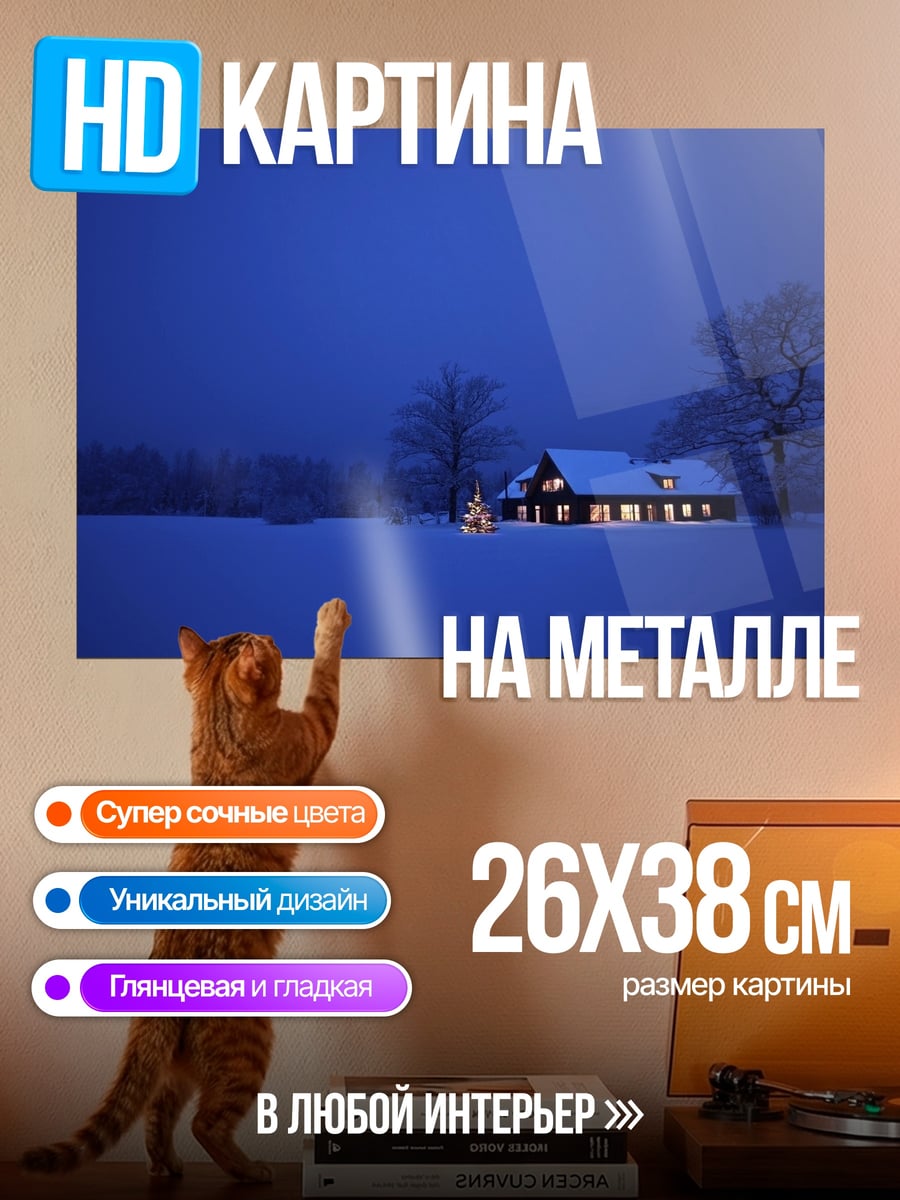 Картина на металле Зимний дом ночью