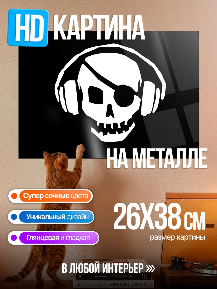 Картина на металле Череп наушники