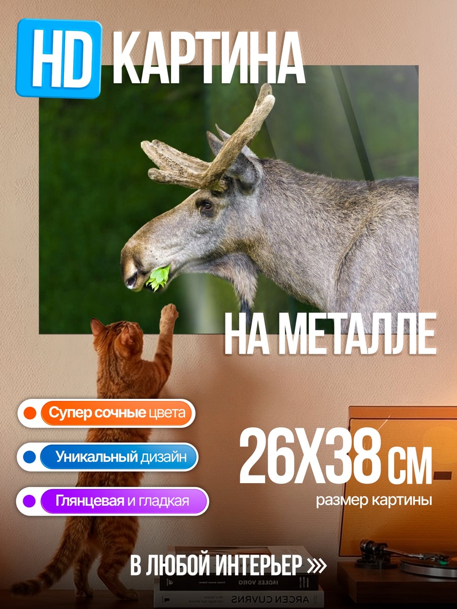 Картина на металле Лось ест траву